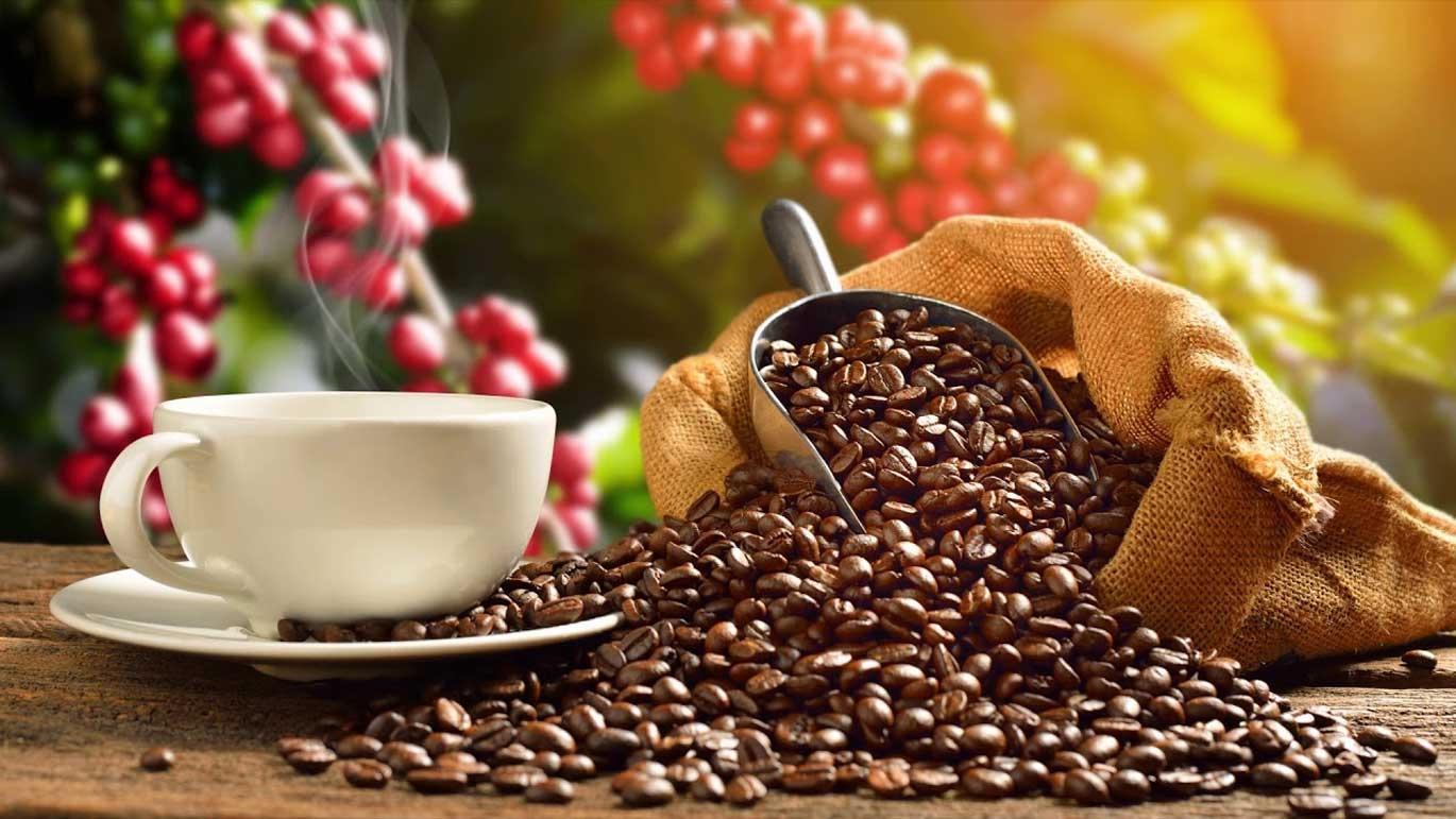 Lắng đọng cuộc sống cùng tách cà phê nguyên chất