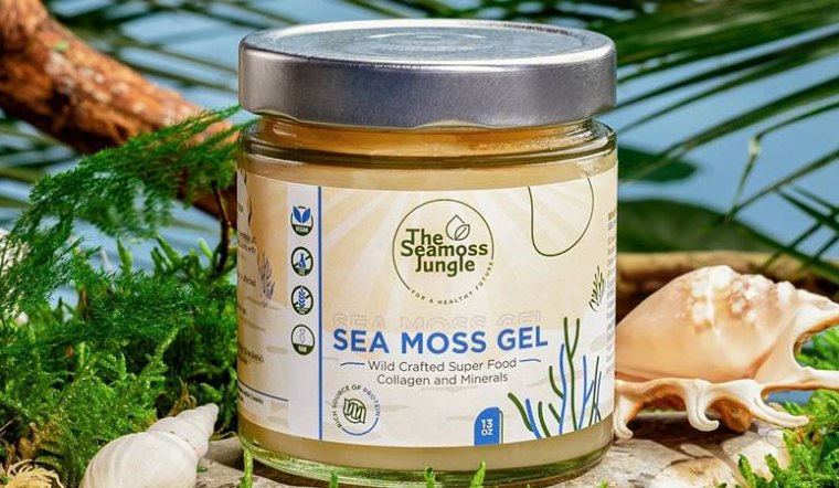 7 cách dùng Sea Moss Gel mỗi ngày: pha uống, sinh tố, sữa chua, overnight oats