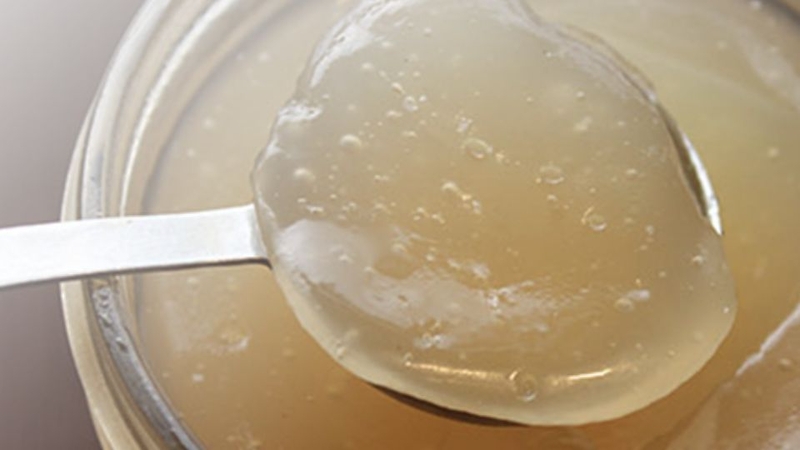 Sea Moss Gel trong lối sống Eat Clean: 5 bữa ăn mẫu dễ áp dụng