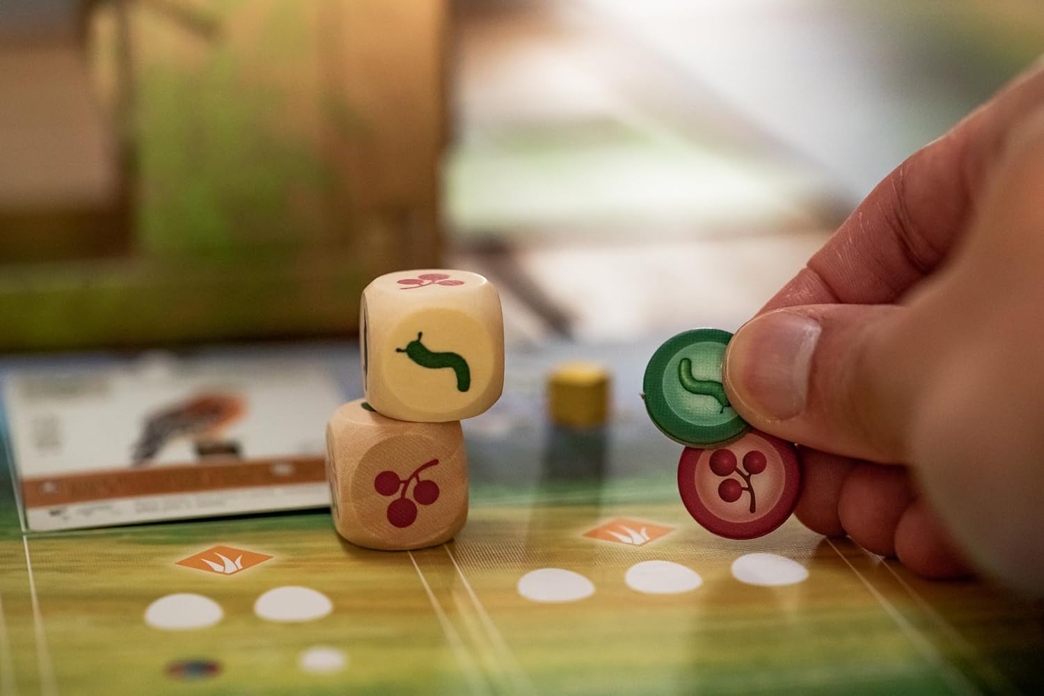 Wingspan (Base Game) - Board Game cho người mê chim