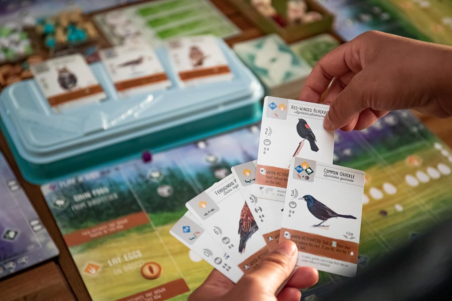 Wingspan (Base Game) - Board Game cho người mê chim