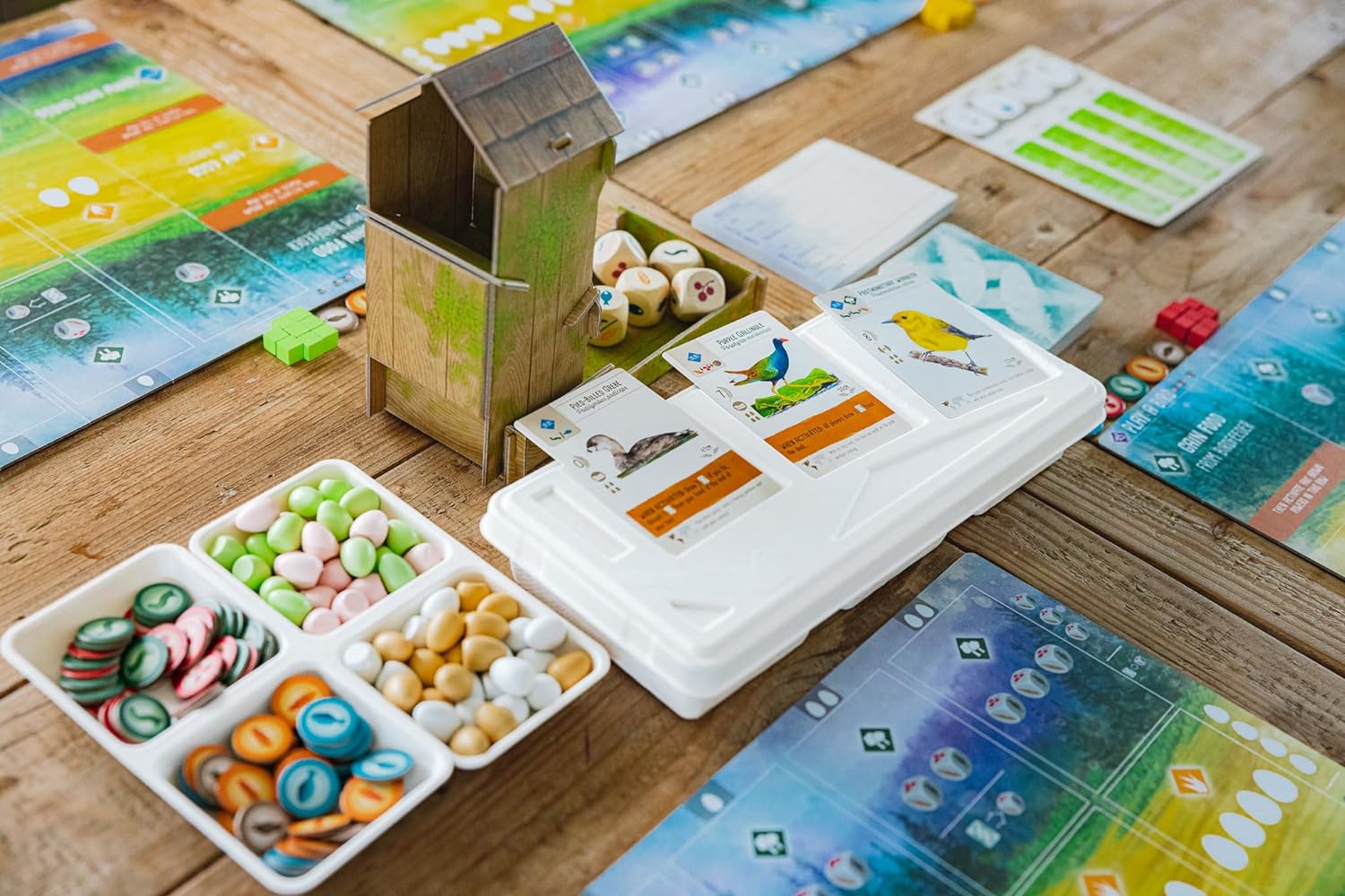 Wingspan (Base Game) - Board Game cho người mê chim