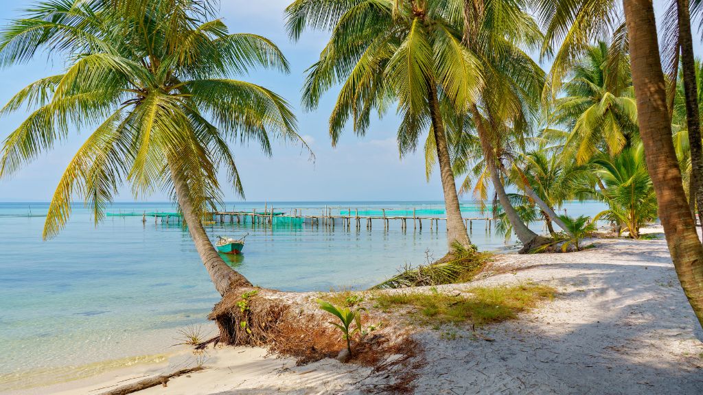 Tour 1 Ngày: Rạch Vẹm - Bắc Đảo Phú Quốc