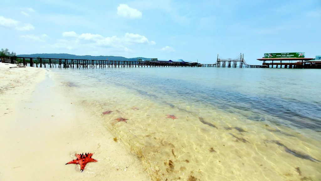 Tour 1 Ngày: Rạch Vẹm - Bắc Đảo Phú Quốc