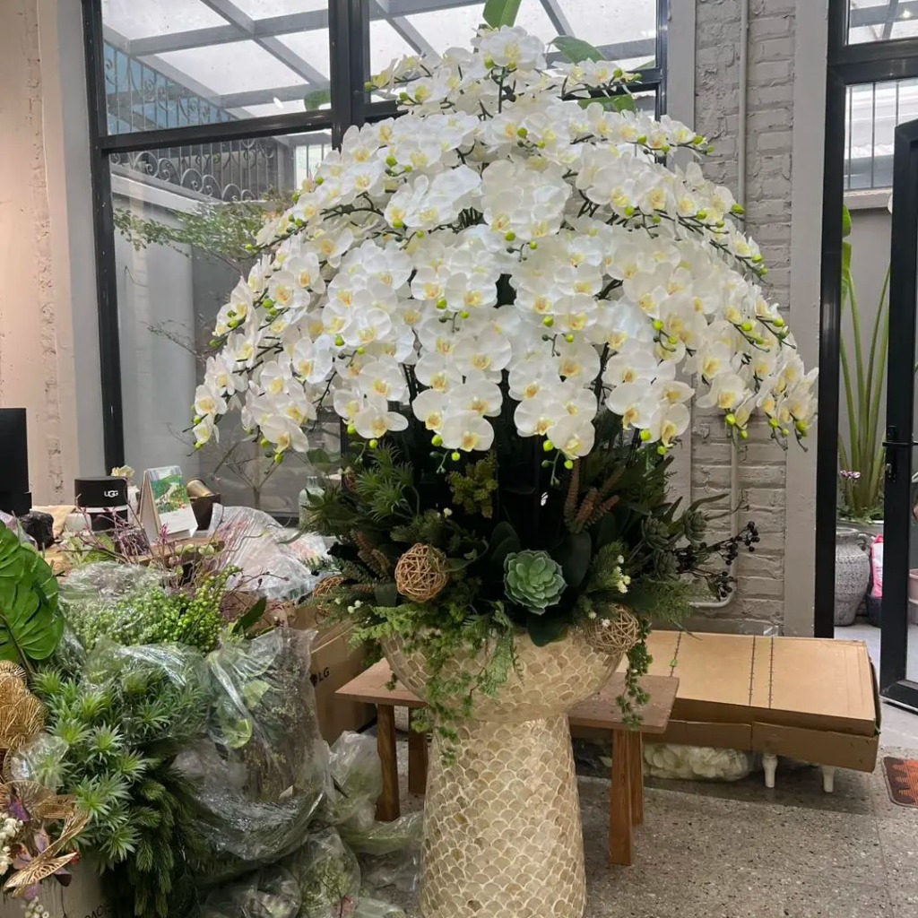 Chậu Lan Hồ Điệp Chất Liệu Cao Su Non Màu Trắng - Chậu Cỡ Lớn