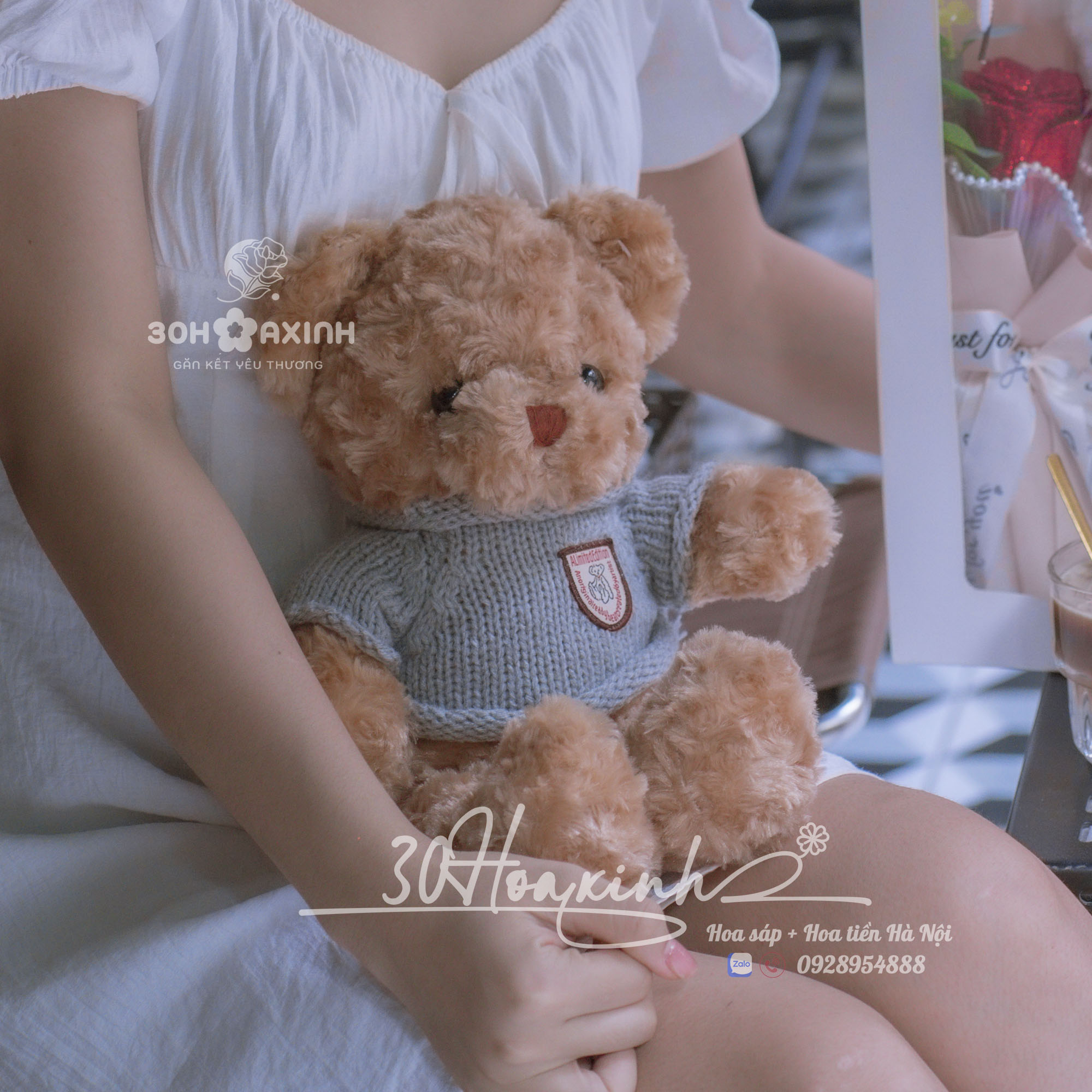 Gấu bông Teddy lông xù