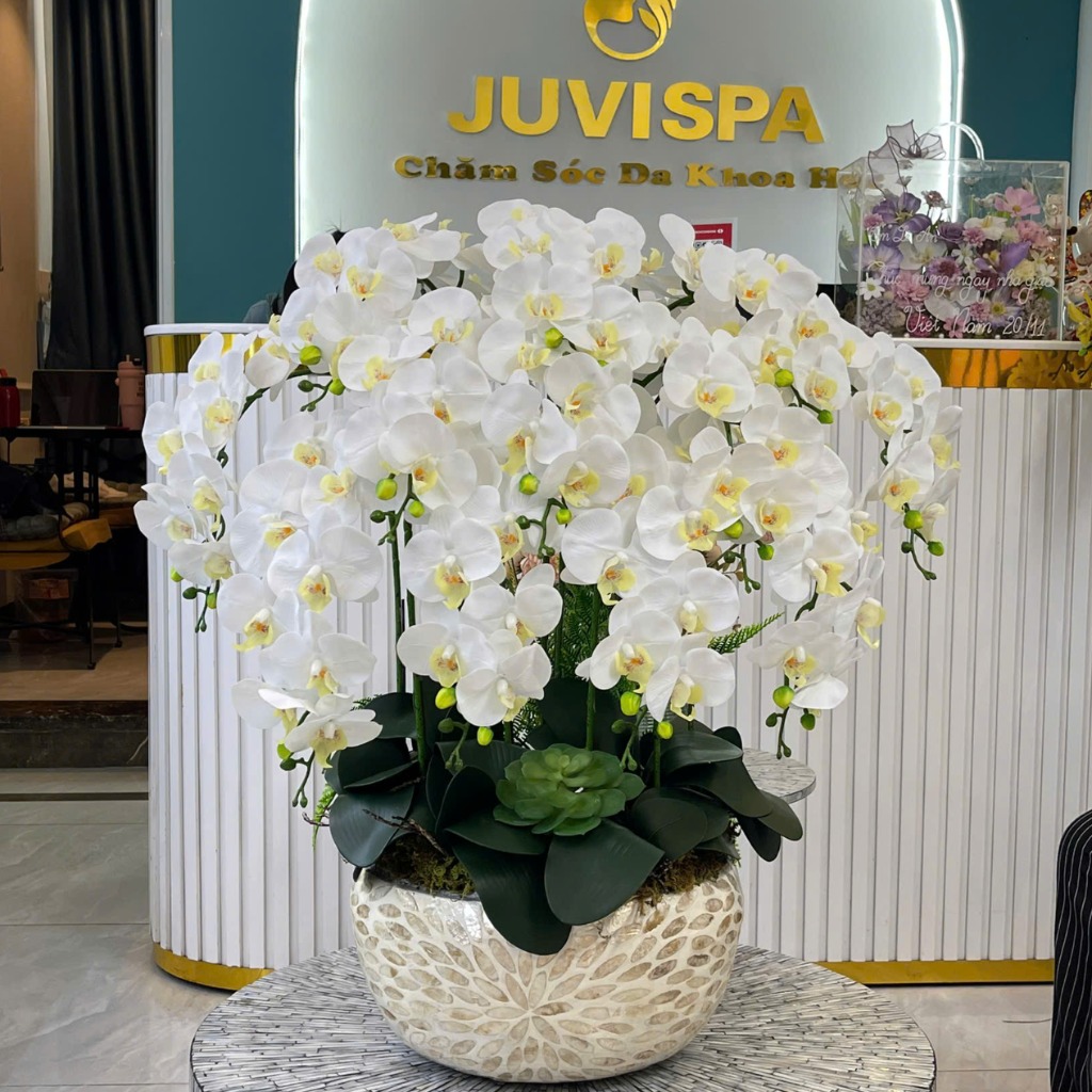 Chậu Lan Hồ Điệp Cao Su Non Màu Trắng – 12 Cành Thanh Lịch, Tinh Khôi