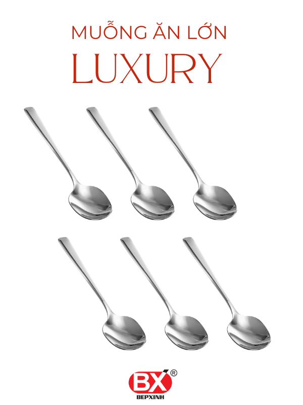 LUXURY TABLE SPOON (Set 6 pieces)