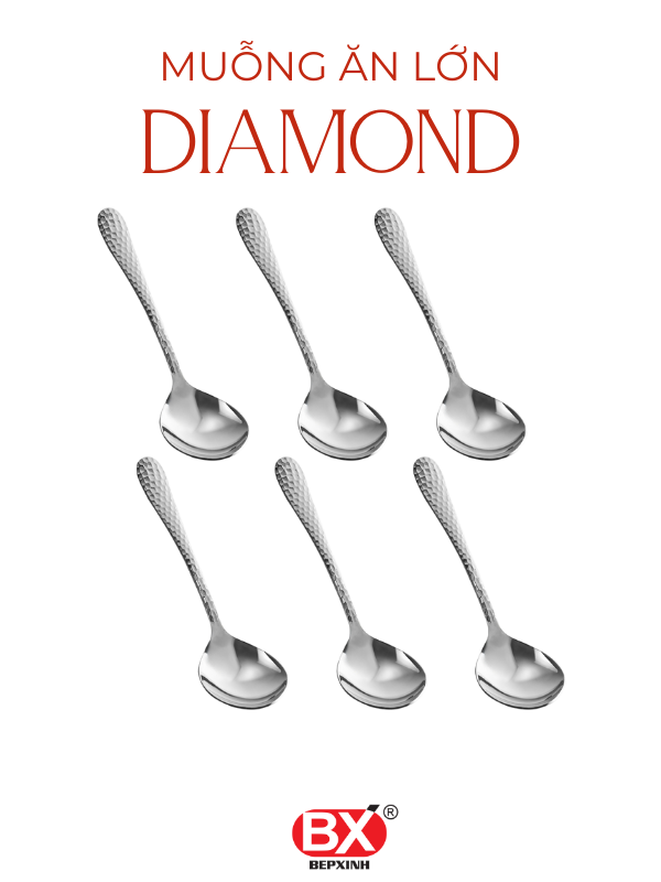 SHINE TABLE SPOON  (Set 6 pieces)