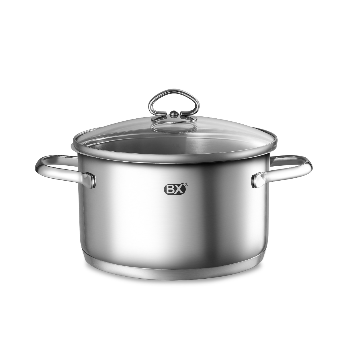 BX-02 STAINLESS STEEL POT (20x11.5cm)