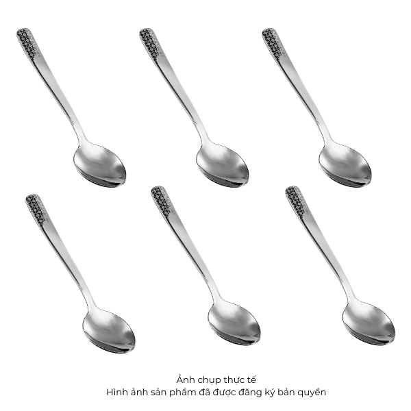 PLAN TABLE SPOON (Set 6 pieces)