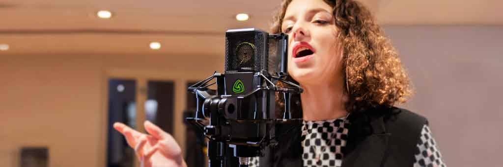 Bộ micro tụ điện Lewitt LCT 1040 Tube | Chính hãng - Trả góp 0%