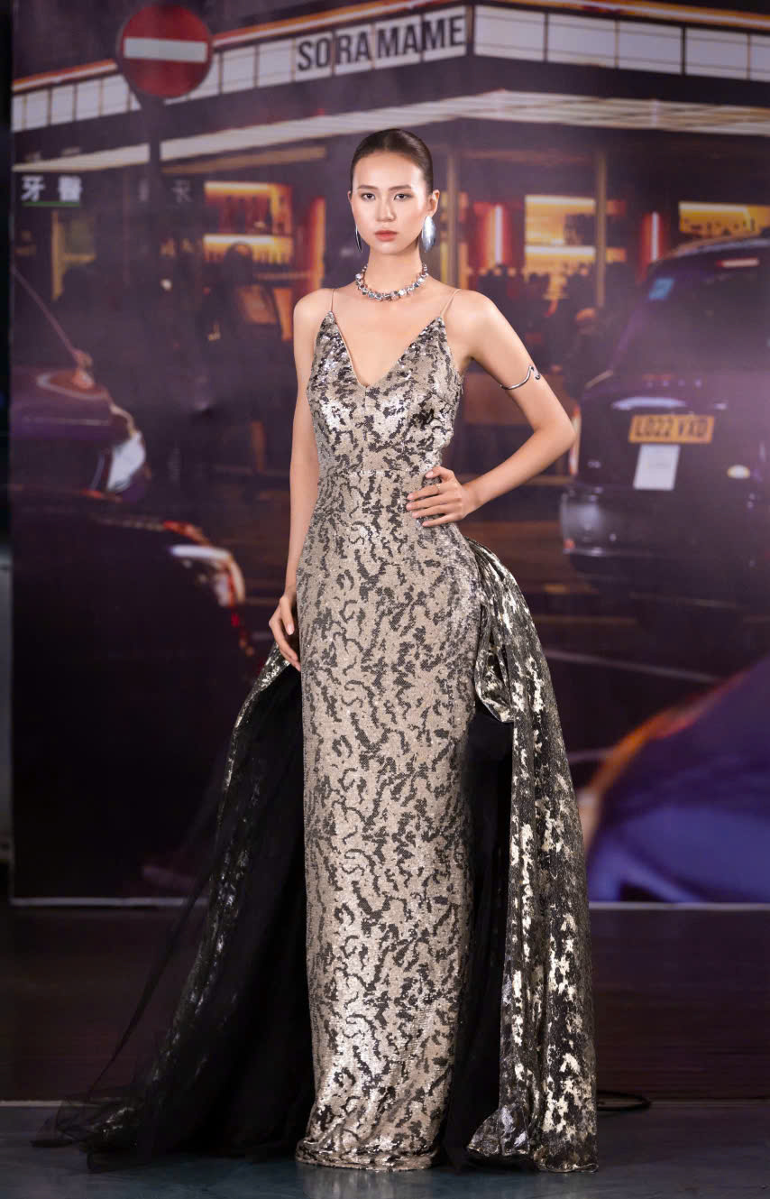 PROVENANCE DRESS