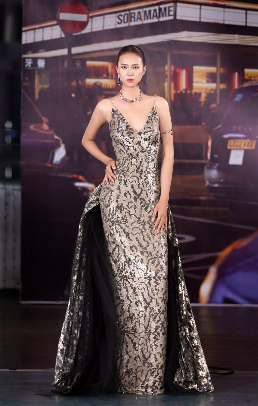 PROVENANCE DRESS