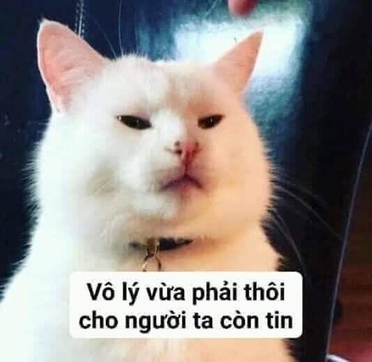 bài viết demo