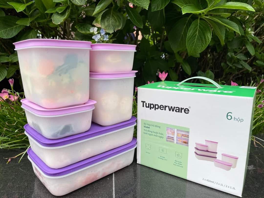 Bộ 6 Hộp Tupperware Trữ Đông Violet -Tupperware Chính Hãng