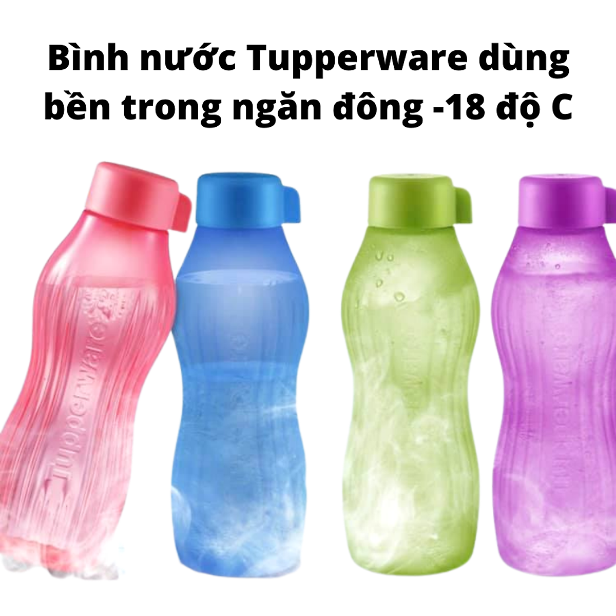 Bình Nước Ngăn Đông Tupperware 880ml