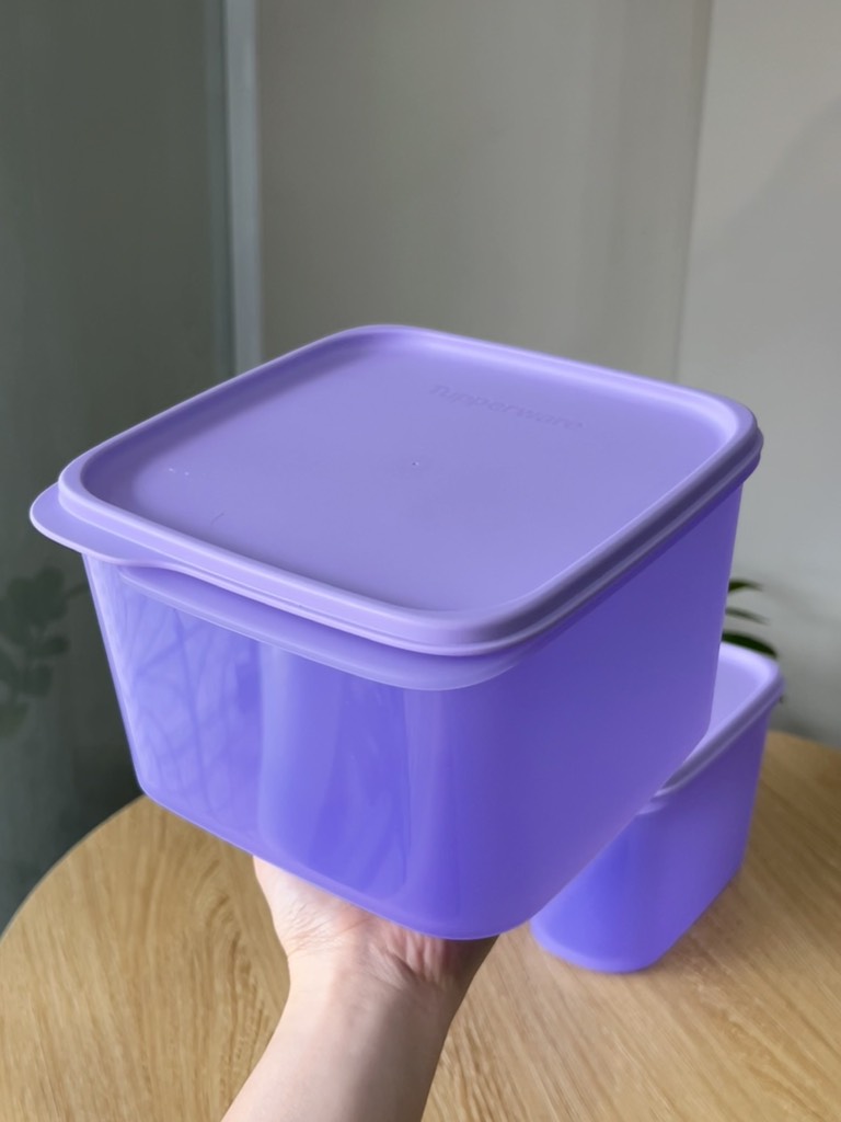 Hộp Trữ Khô Tupperware Vuông Oval Smart Saver - Tupperware Malaysia Chính Hãng