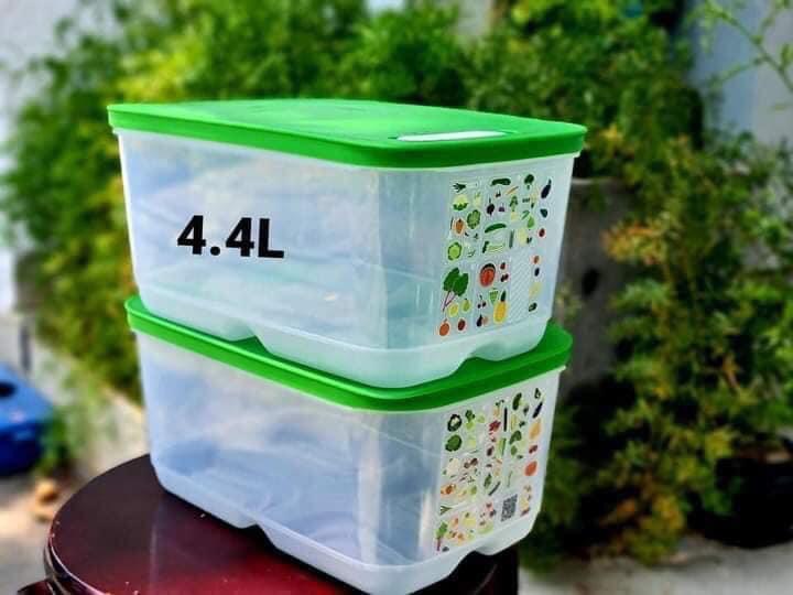 Hộp  Tupperware Ventsmart  - Có Nút Hô Hấp - Tupperware Trung Chính Hãng