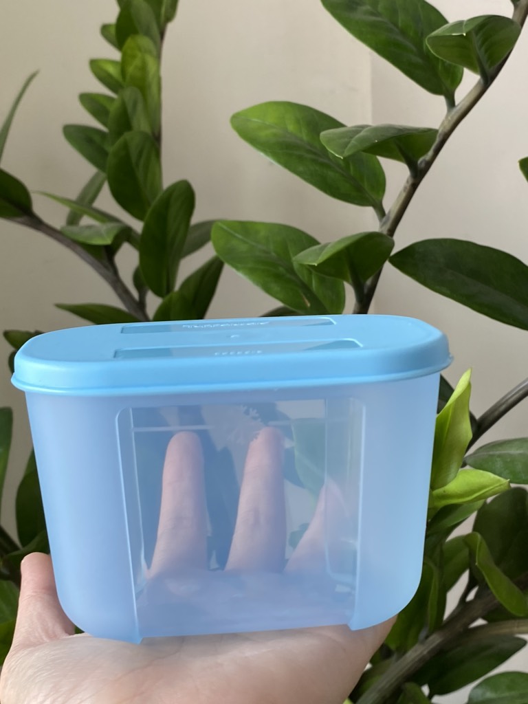 Hộp  Tupperware Trữ Đông Thường 300ml - Tupperware Trung Chính Hãng