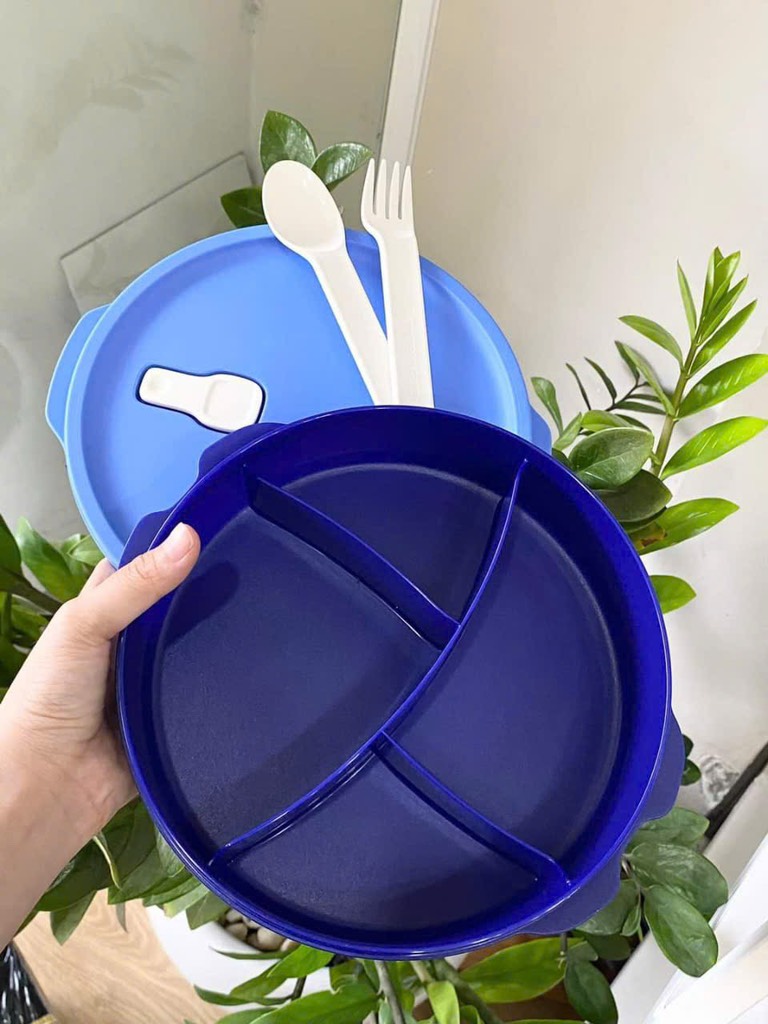 Hộp Cơm Fit To Go Màu Xanh ( lẻ)
