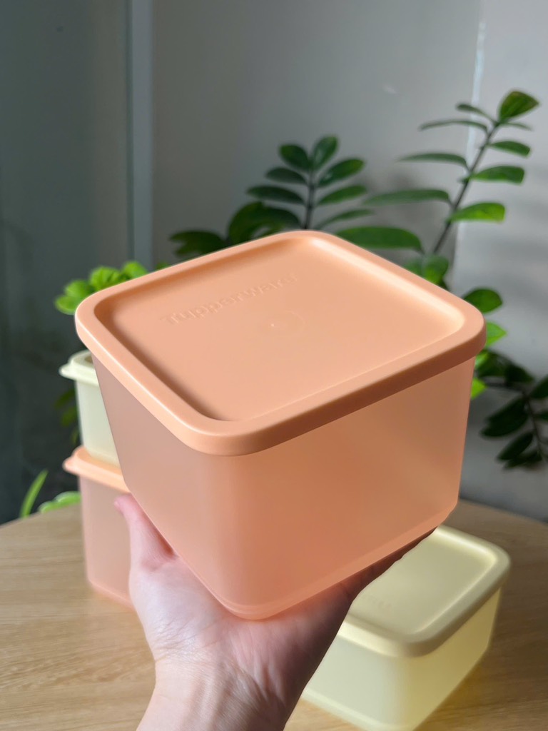 Hộp Tupperware Trữ Mát Cubix Square