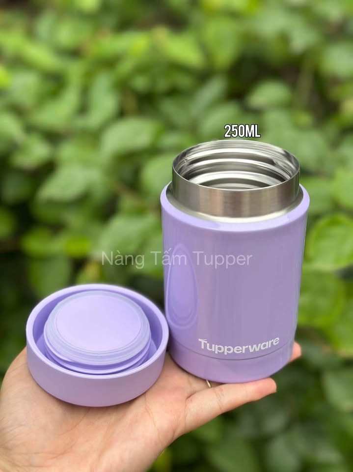 Hộp Giữ Nhiệt Tupperware 250ml - Tupperware Trung Chính Hãng