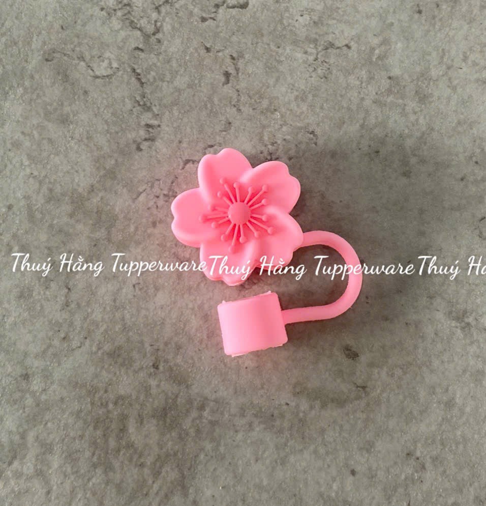 Bịt ống hút Tupperware