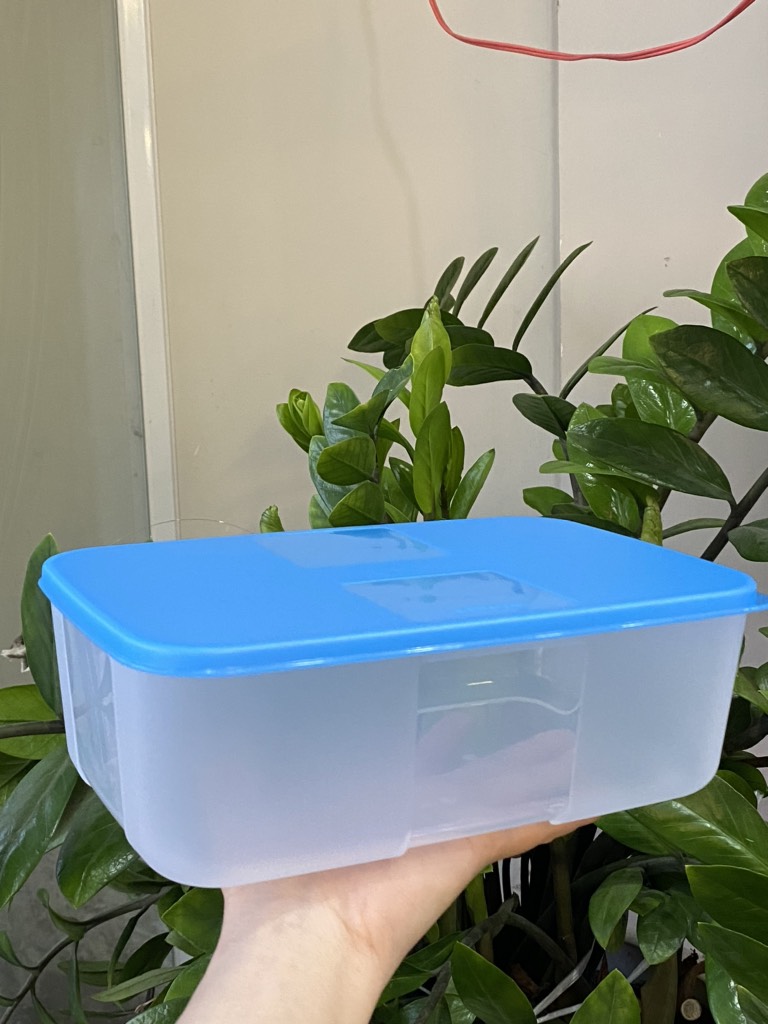 Hộp Tupperware Đông 1.7L - Tupperware Trung Chính Hãng