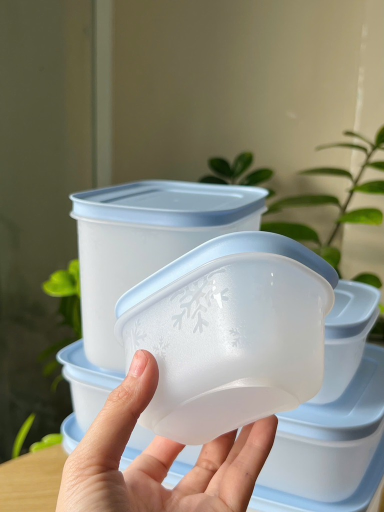 Hộp đựng thực phẩm Tupperware trữ đông Gen II - New Tupperware