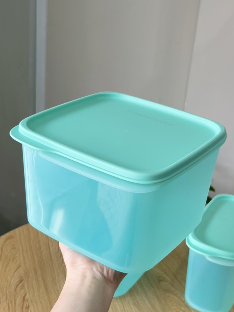 Hộp Trữ Khô Tupperware Vuông Oval Smart Saver - Tupperware Malaysia Chính Hãng