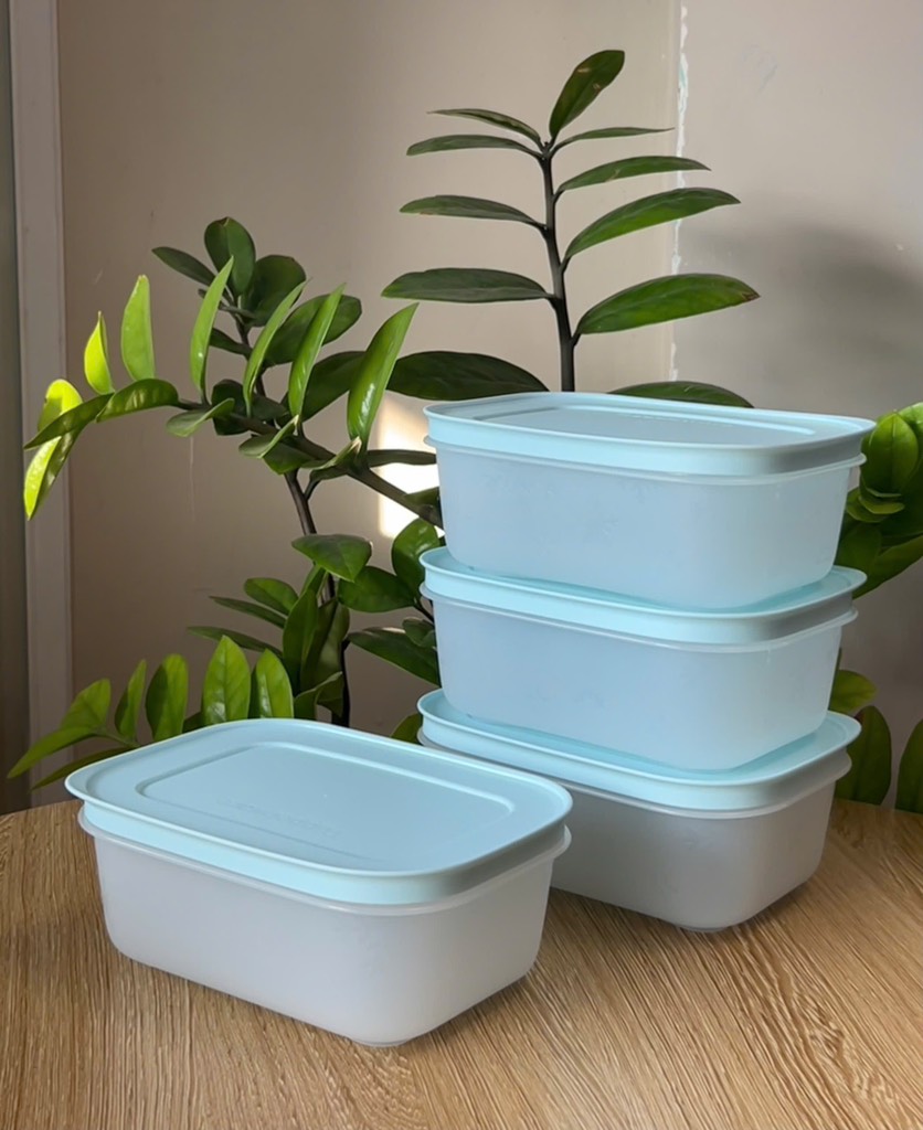 Hộp Lẻ Tupperware Đông Dẻo 450ml