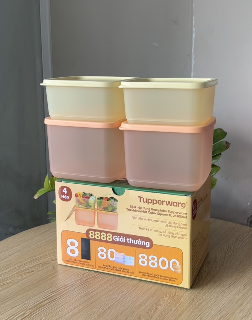 {{TUP80}} Bộ 4 hộp đựng thực phẩm Tupperware trữ khô và mát Cubix Square 1L và 650mL