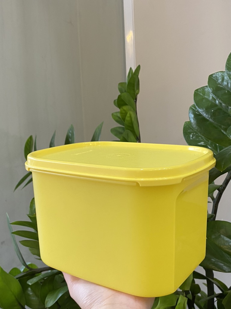 Tuptrung Hộp Tupperware mát colorful 1.9lit (4 màu)