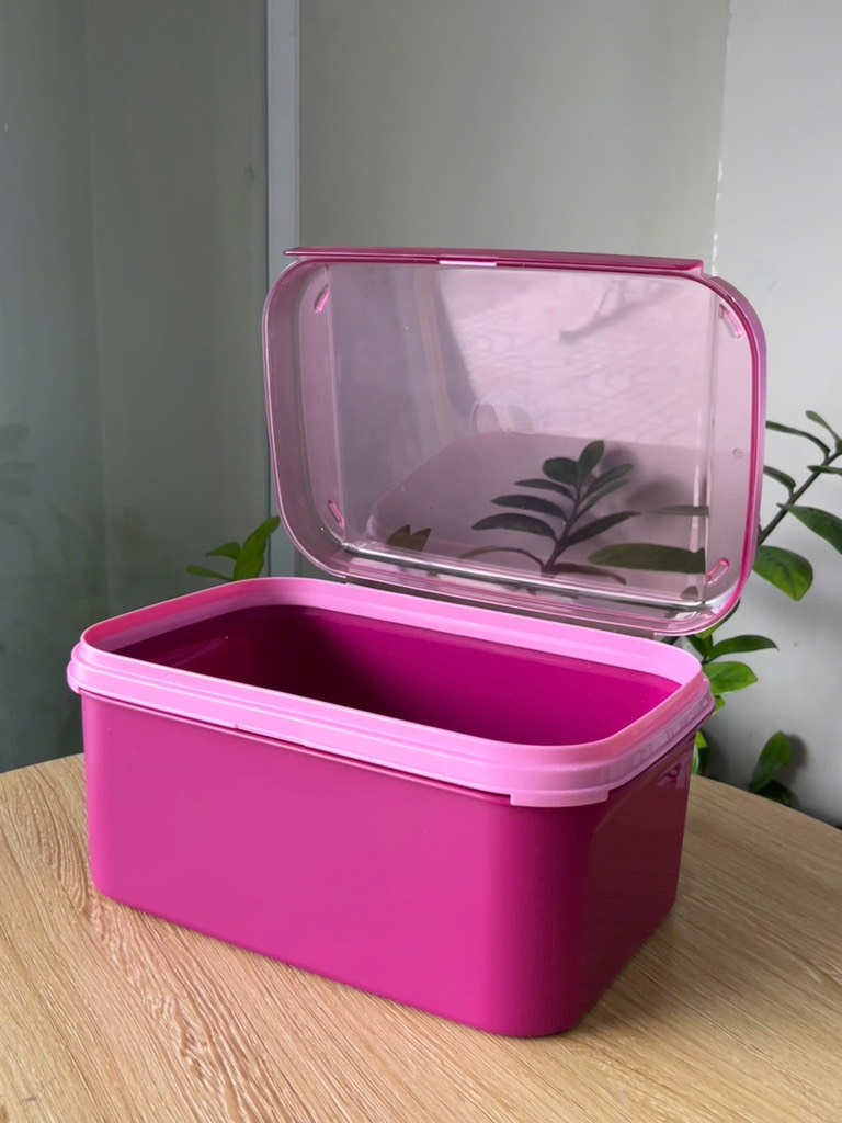 Hộp Tupperware Trữ Mát Ezy Rectangular Keeper 6.5L - Nắp Liền - Tupperware Malaysia Chính Hãng