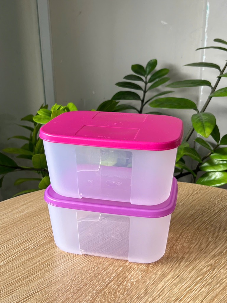 Tupmalay - Hộp Trữ Đông Basic 650ml Nắp Tím