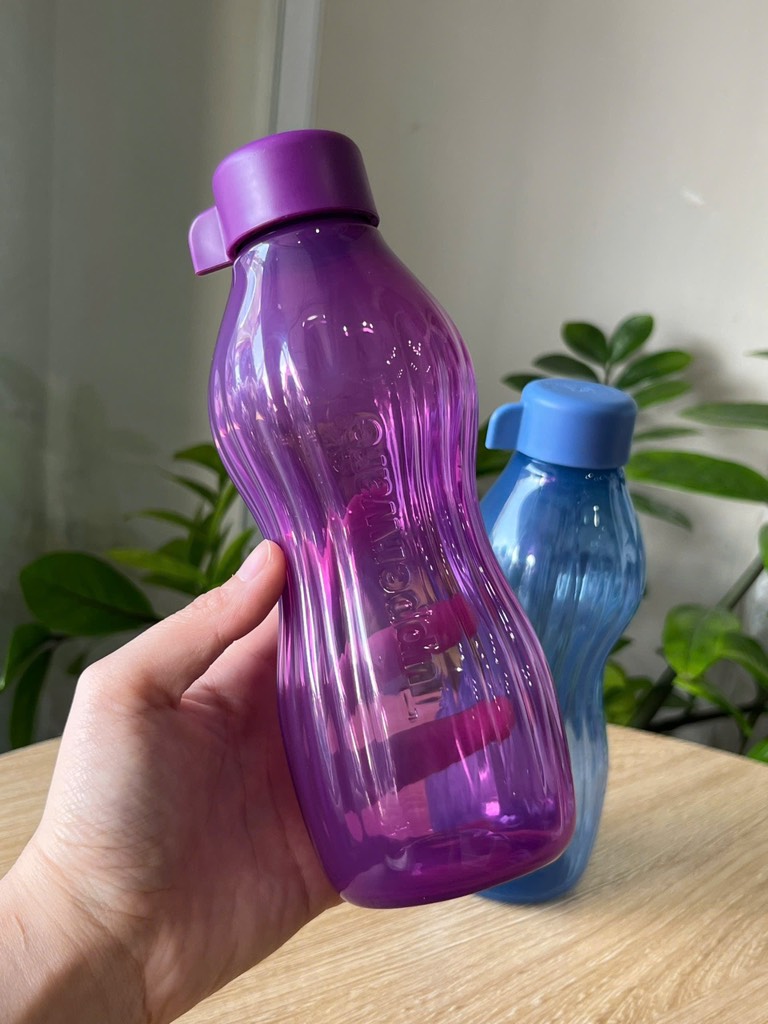TupMalay - Bình Nước Ngăn Đông Tupperware 500ml