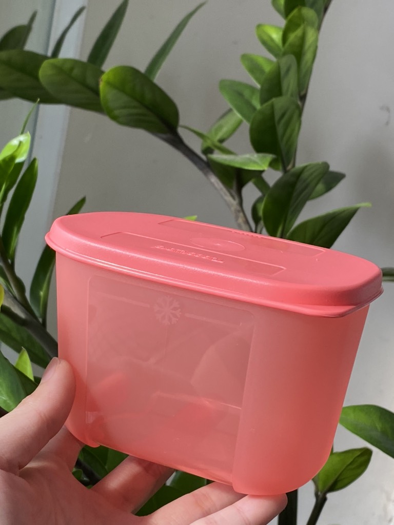 Hộp  Tupperware Trữ Đông Thường 300ml - Tupperware Trung Chính Hãng