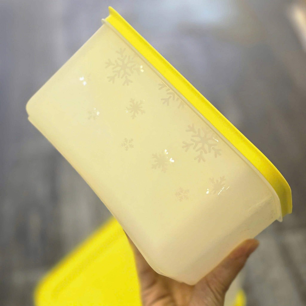 Hộp đông dẻo 2.5L - Tupperware Trung Chính Hãng