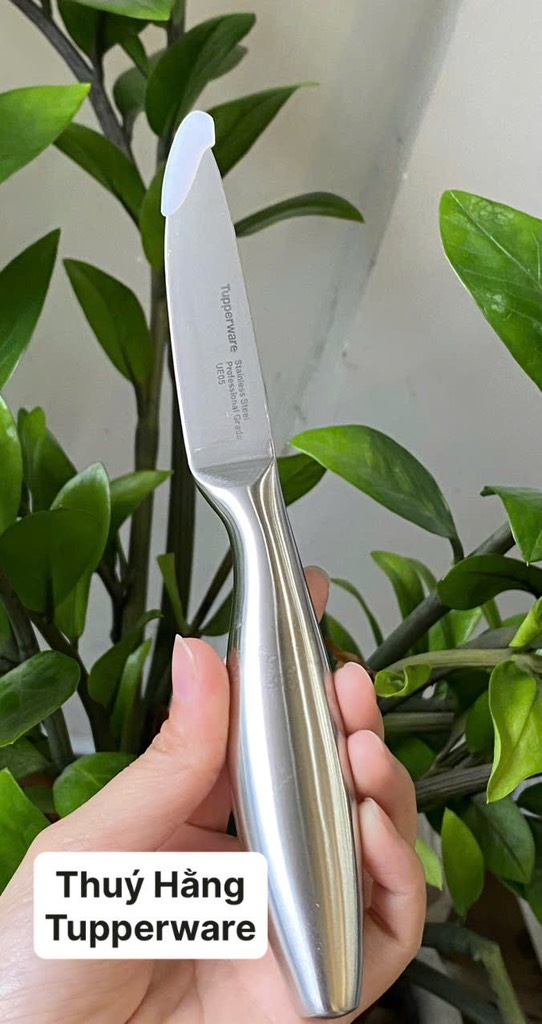 Dao gọt, tỉa Pro-Asian Paring Knife Tupperware