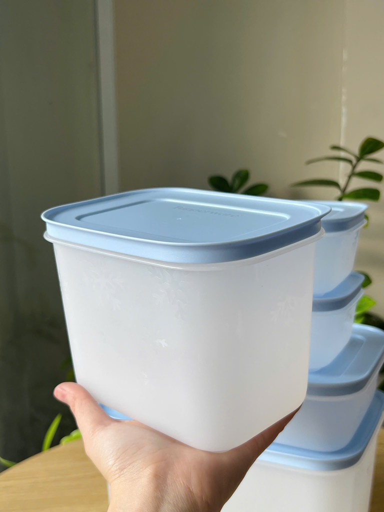 Hộp đựng thực phẩm Tupperware trữ đông Gen II - New Tupperware