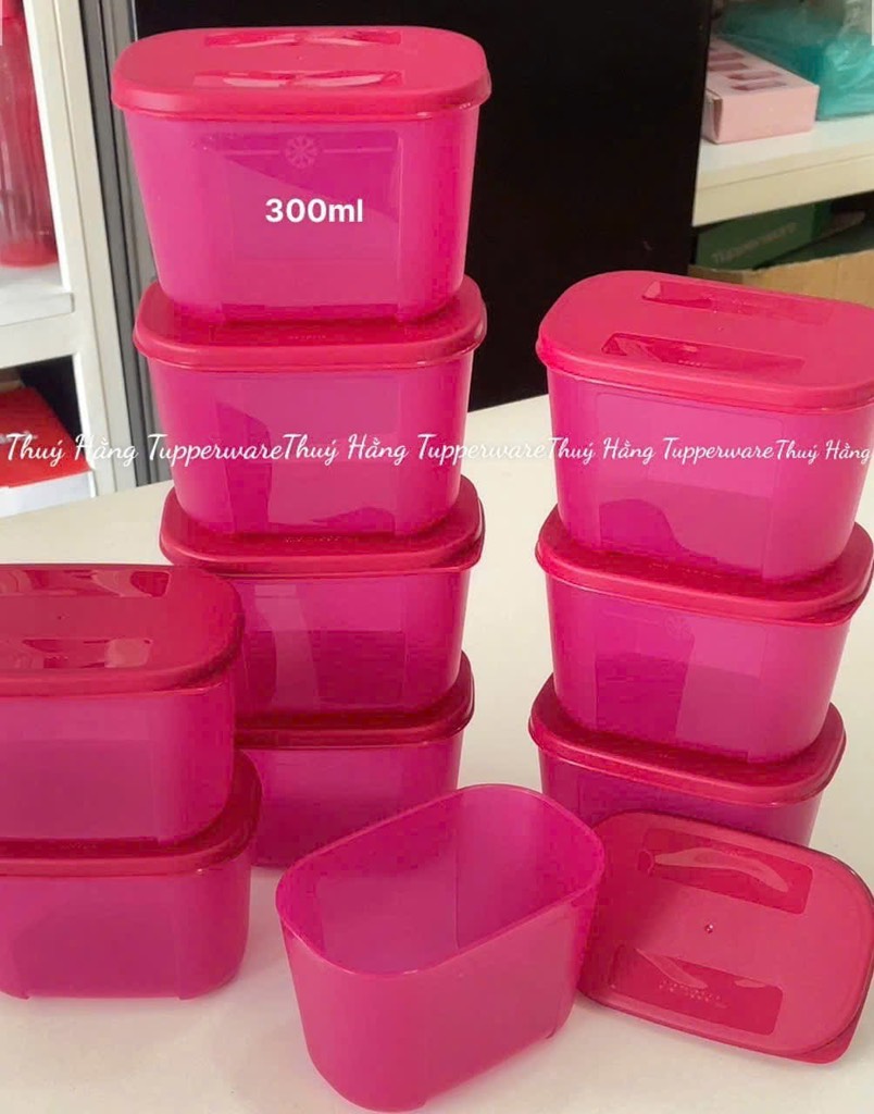 Hộp  Tupperware Trữ Đông Thường 300ml - Tupperware Trung Chính Hãng