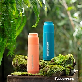 Bình Giữ Nhiệt Tuperware Buddy 520ml - Tupperware Chính Hãng