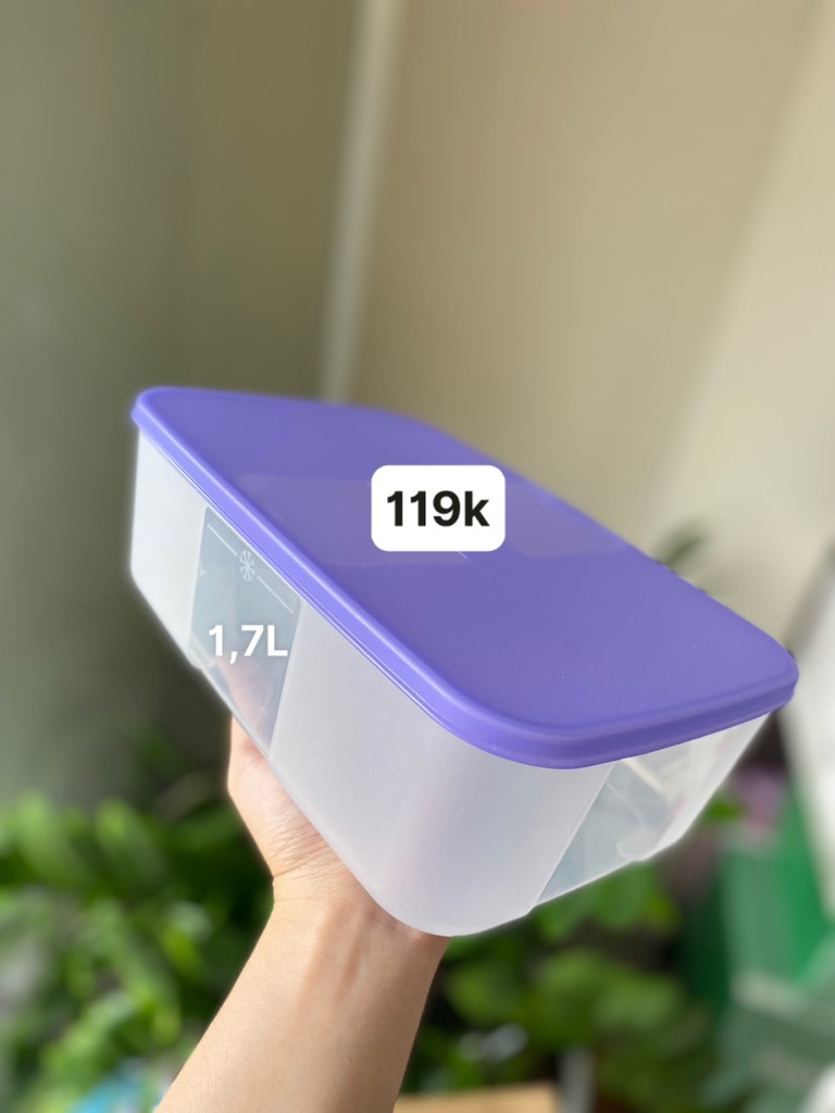 Hộp đông 1,7l nắp tím