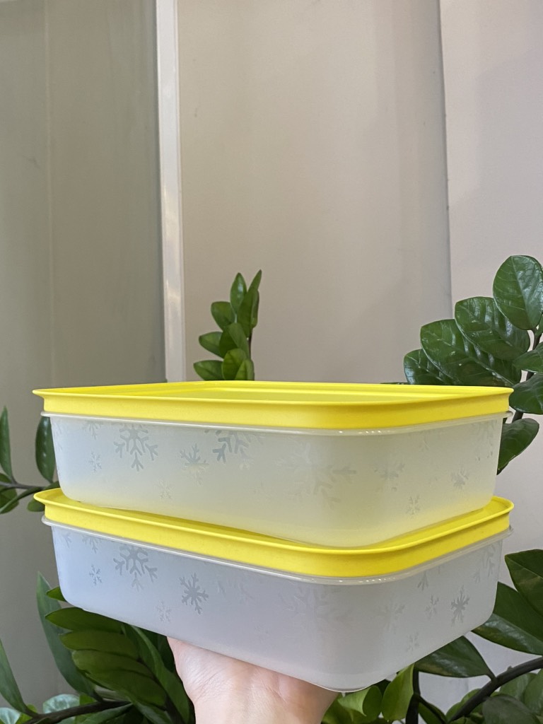 Hộp Tupperware Trữ Đông 1L - Thân Trong - Tupperware Trung Chính Hãng