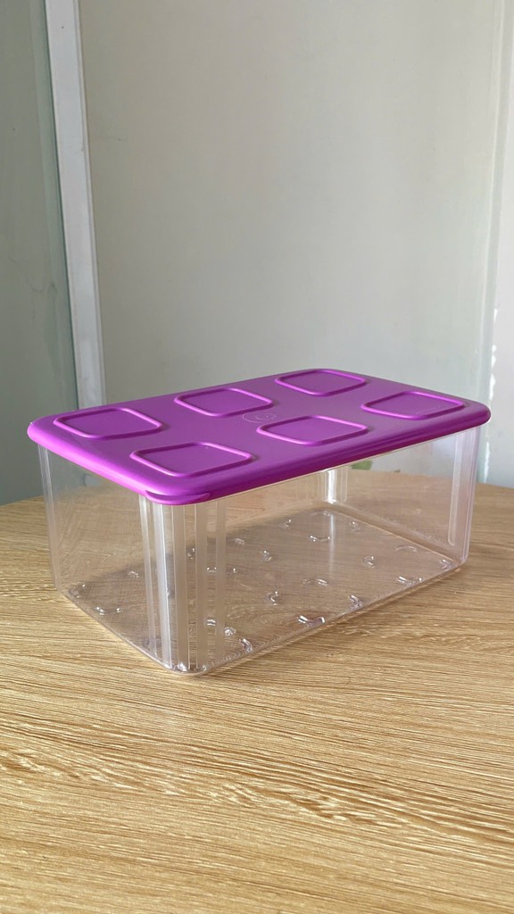 Bộ 5 Hộp Tupperware Trữ Khô Clearmate - Tím Nhựa Trong - Tupperware Malaysia Chính Hãng