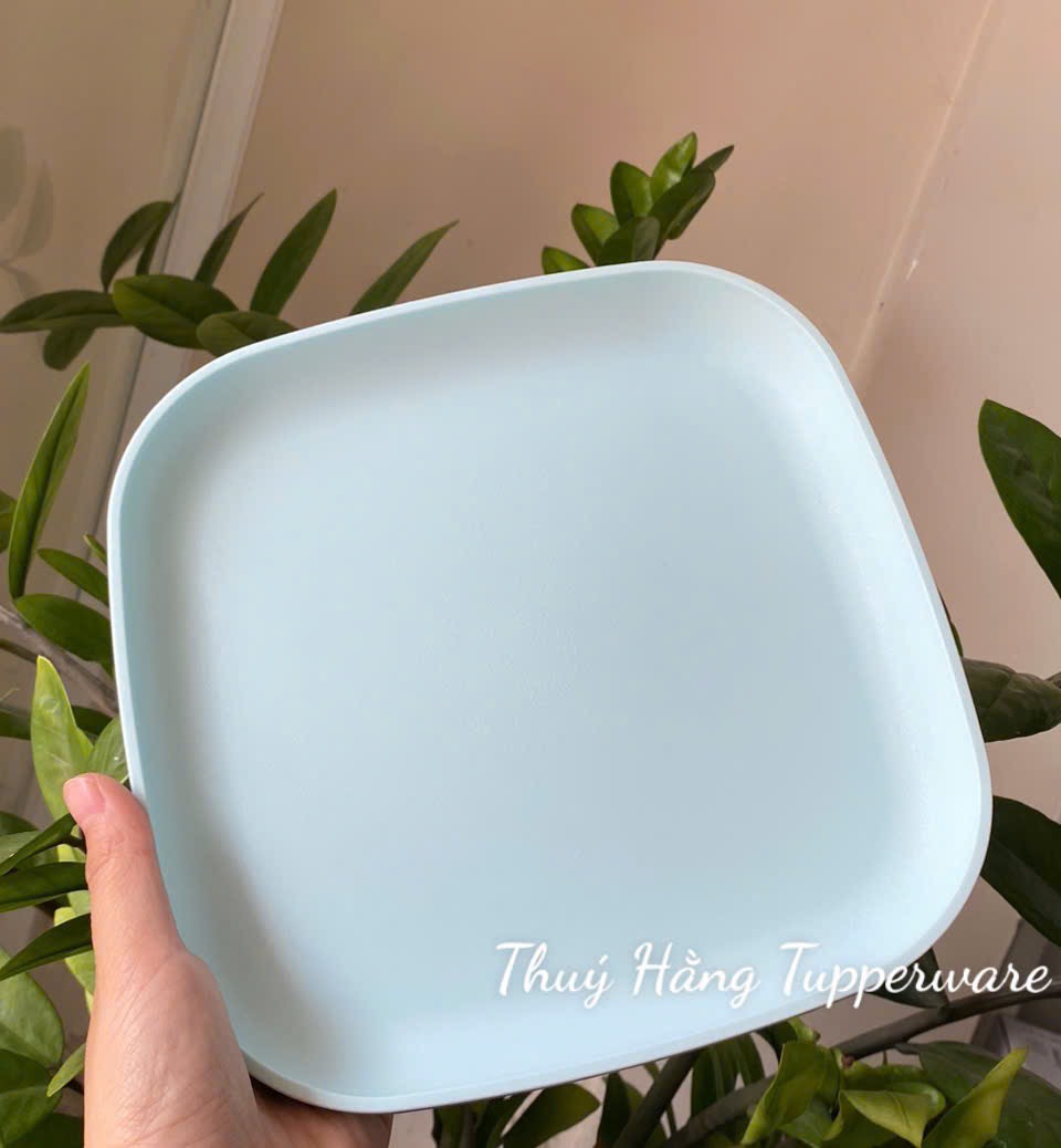 Tuptrung Đĩa Vuông 20cm (1 Cái)