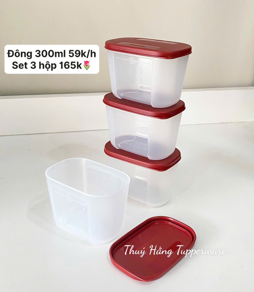 Hộp  Tupperware Trữ Đông Thường 300ml - Tupperware Trung Chính Hãng