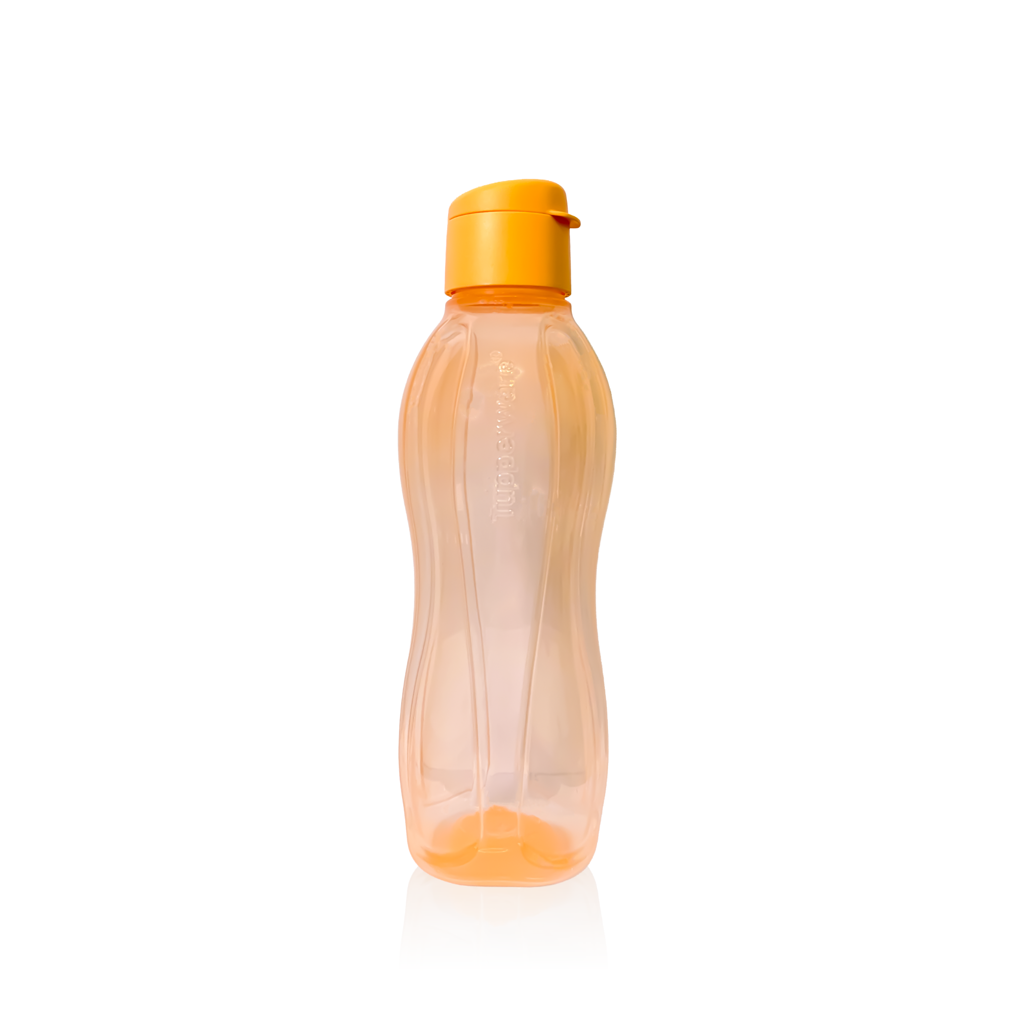 Bình Nước Tupperware Eco Gen II 1L - Tupperware Chính Hãng