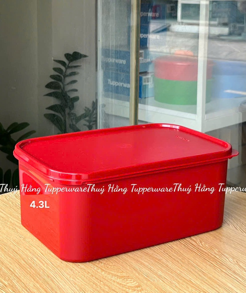 Tuptrung - Hộp Kimchi Full Đỏ Không Quai
